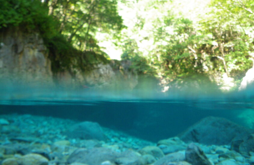 ātmānubhava（アートマー・アヌバヴァ）